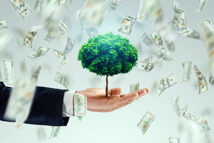 A Dividend Growth Portfolio is like Planting a Tree to Bear Fruit Later.