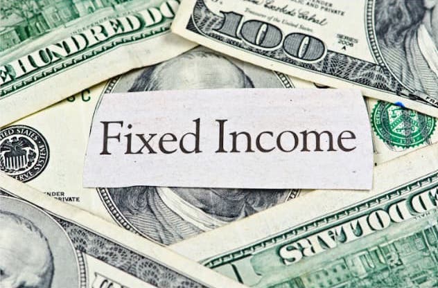 Fixed Income provides fixed cash payments to bondholders.